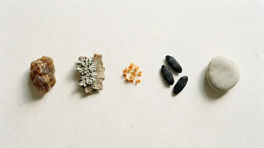 Five natural perfume raw materials laid in a row on bone paper: labdanum resin, oakmoss lichen, osmanthus blossom, tonka beans and ambergris