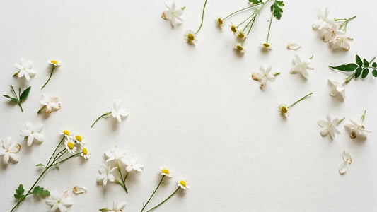 White jasmine and chamomile flowers scattered on pale handmade paper