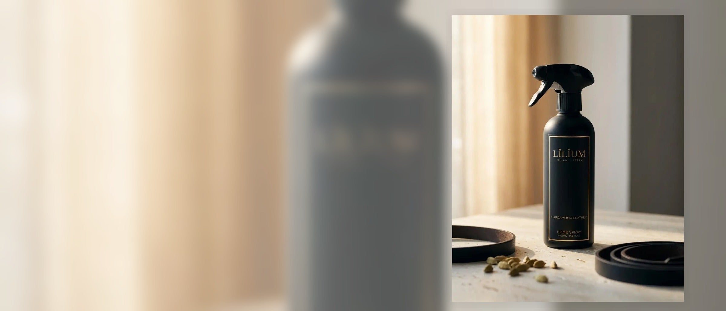 Home Spray